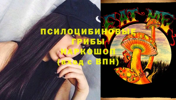 прущая мука Арсеньев