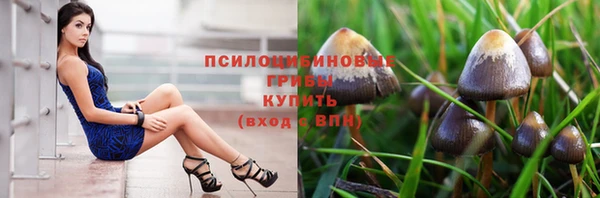 а пвп мука Армянск