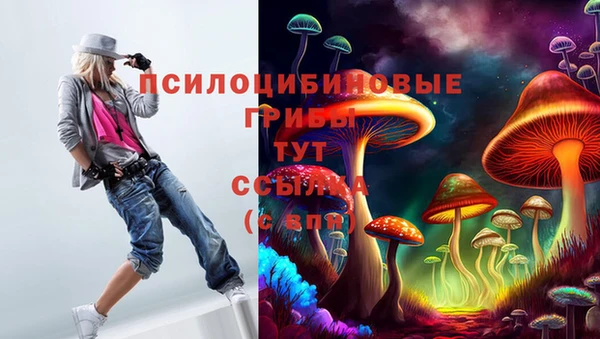 прущая мука Аркадак