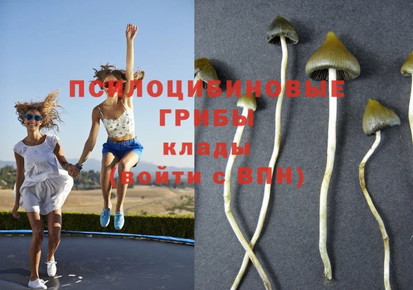 прущая мука Аркадак