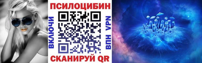 Галлюциногенные грибы Psilocybine cubensis  Новоалександровск 